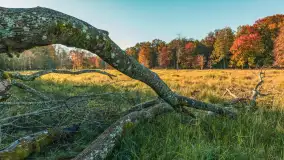 Jesień w Rezerwacie Przyrody Sztynort, październik 2025 r. - zdjęcie 7