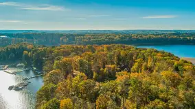 Jesień nad jeziorem Kisajno w Pięknej Górze, październik 2025 r. - zdjęcie 37