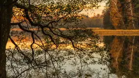 Zachód słońca nad jeziorem Gołdopiwo, listopad 2025 r. - zdjęcie 5