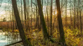 Końcówka mazurskiej, złotej jesieni, listopad 2025 r. - zdjęcie 26