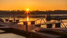 Zachód słońca, końcówka kolorów jesieni w Sztynorcie, listopad 2025 r. - zdjęcie 26