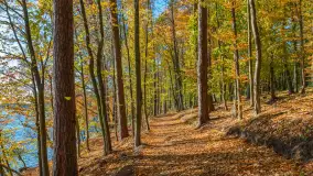 Jesień nad jeziorem Nidzkim, port i ośrodek Wodnik, Ruciane-Nida, październik 2025 r. - zdjęcie 19