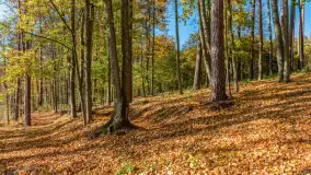 Jesień nad jeziorem Nidzkim, port i ośrodek Wodnik, Ruciane-Nida, październik 2025 r. - zdjęcie 8