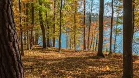 Jesień nad jeziorem Nidzkim, port i ośrodek Wodnik, Ruciane-Nida, październik 2025 r. - zdjęcie 24