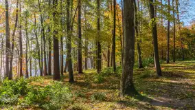 Jesień nad jeziorem Nidzkim, port i ośrodek Wodnik, Ruciane-Nida, październik 2025 r. - zdjęcie 13