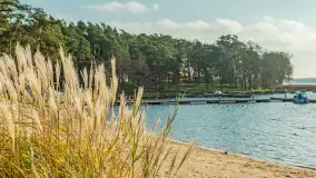 Końcówka jesieni w Pięknym Brzegu, nad jeziorem Święcajty, listopad 2025 r. - zdjęcie 27