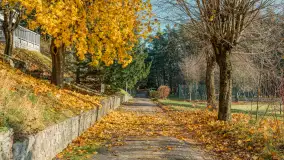 Końcówka jesieni w Pięknym Brzegu, nad jeziorem Święcajty, listopad 2025 r. - zdjęcie 21