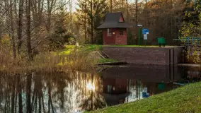 Końcówka jesieni przy śluzie Przerwanki, listopad 2025 r. - zdjęcie 10