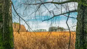 Końcówka jesieni przy śluzie Przerwanki, listopad 2025 r. - zdjęcie 20