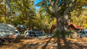 Jesienne kadry w porcie Pod Dębem, nad jeziorem Nidzkim, październik 2025 r. - zdjęcie 24