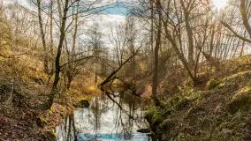 Zwalony Most w Kruklankach, listopad 2025 r. - zdjęcie 12