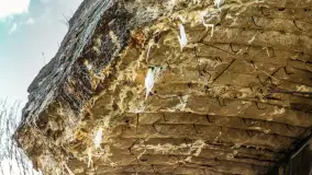 Zwalony Most w Kruklankach, listopad 2025 r. - zdjęcie 22