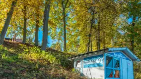 Łabędzi Ostrów i jezioro Kisajno w jesiennym wydaniu - zdjęcie 5