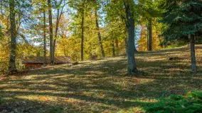 Łabędzi Ostrów i jezioro Kisajno w jesiennym wydaniu - zdjęcie 21