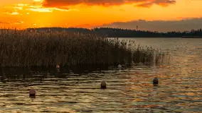 Zachód słońca nad jeziorem Bocznym w Rydzewie, listopad 2025 r. - zdjęcie 16