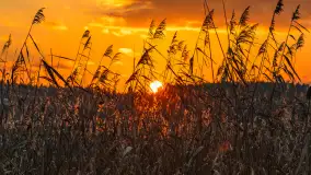 Zachód słońca nad jeziorem Bocznym w Rydzewie, listopad 2025 r. - zdjęcie 5