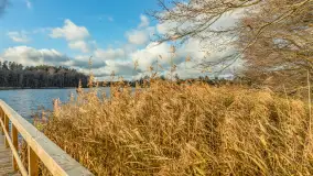 Jezioro Krzywa Kuta między jesienią, a zimą, listopad 2025 r. - zdjęcie 13