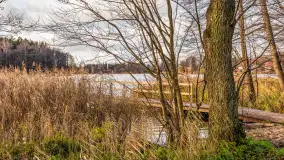 Jezioro Krzywa Kuta między jesienią, a zimą, listopad 2025 r. - zdjęcie 1