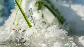 Na jaką zimę czekamy? zobaczcie zdjęcia z kilku lat - zdjęcie 19