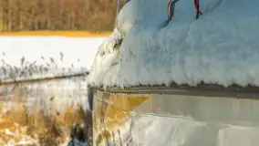 Słoneczna zima w Łabędzim Ostrowiu, luty 2025 r. - zdjęcie 27