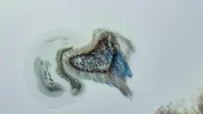 Słoneczna zima w Łabędzim Ostrowiu, luty 2025 r. - zdjęcie 32