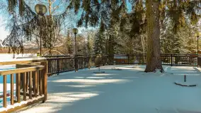 Słoneczna zima w Łabędzim Ostrowiu, luty 2025 r. - zdjęcie 40