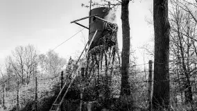 Wilczy Szaniec w latach 1940-1944 na zdjęciach w wysokiej rozdzielczości - zdjęcie 237