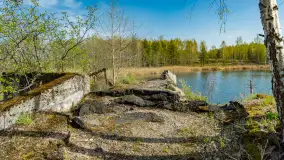 Niewielkie jezioro niedaleko śluzy Długopole, kwiecień 2025 r. - zdjęcie 10