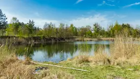 Niewielkie jezioro niedaleko śluzy Długopole, kwiecień 2025 r. - zdjęcie 18