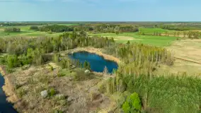 Niewielkie jezioro niedaleko śluzy Długopole, kwiecień 2025 r. - zdjęcie 2