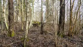 Schrony Kruklaneckiej pozycji umocnieniowej - zdjęcie 27