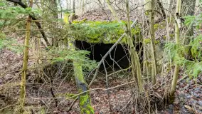 Schrony Kruklaneckiej pozycji umocnieniowej - zdjęcie 56