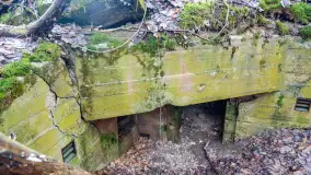 Schrony Kruklaneckiej pozycji umocnieniowej - zdjęcie 42