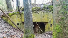 Schrony Kruklaneckiej pozycji umocnieniowej - zdjęcie 59