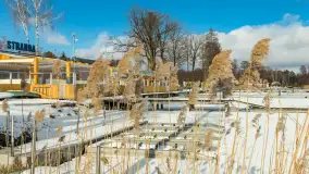 Stranda zimą, początek lutego 2025 r. - zdjęcie 4