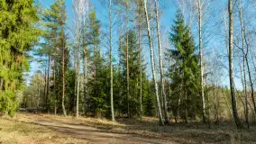 Mix naszych niewykorzystanych zdjęć z ostatnich lat - zdjęcie 19