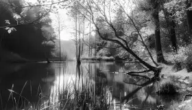 Krutynia na starych zdjęciach i pocztówkach - zdjęcie 27