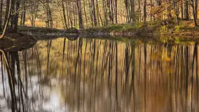 Jesień w lesie miejskim w Giżycku, listopad 2025 r. - zdjęcie 61