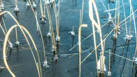 Zima w porcie Resort Niegocin, grudzień 2025 r. - zdjęcie 5