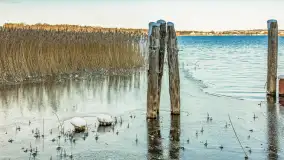 Zima w porcie Resort Niegocin, grudzień 2025 r. - zdjęcie 32