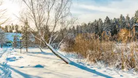 Zimowa sceneria w AZS Wilkasy nad Niegocinem, grudzień 2025 r. - zdjęcie 40