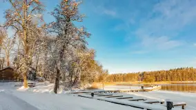 Zima w Łabędzim Ostrowiu w Pięknej Górze, Grudzień 2025 r. - zdjęcie 5