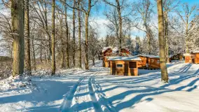 Zima w Łabędzim Ostrowiu w Pięknej Górze, Grudzień 2025 r. - zdjęcie 50