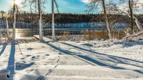 Zima w Łabędzim Ostrowiu w Pięknej Górze, Grudzień 2025 r. - zdjęcie 17