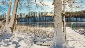 Zima w Łabędzim Ostrowiu w Pięknej Górze, Grudzień 2025 r. - zdjęcie 51