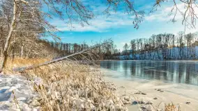 Zima w Łabędzim Ostrowiu w Pięknej Górze, Grudzień 2025 r. - zdjęcie 26