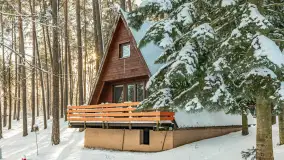 Czy to aby na pewno zima na Mazurach? grudzień 2025 r. - zdjęcie 25