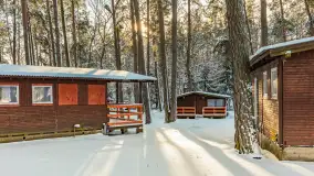 Czy to aby na pewno zima na Mazurach? grudzień 2025 r. - zdjęcie 12