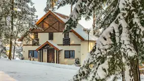 Czy to aby na pewno zima na Mazurach? grudzień 2025 r. - zdjęcie 23