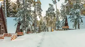 Czy to aby na pewno zima na Mazurach? grudzień 2025 r. - zdjęcie 54